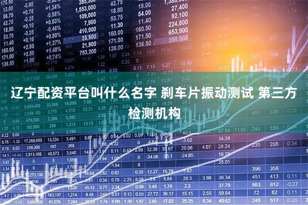 辽宁配资平台叫什么名字 刹车片振动测试 第三方检测机构